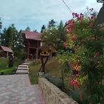 лісова казка *