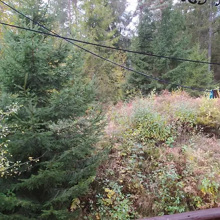 лісова казка 야렘체