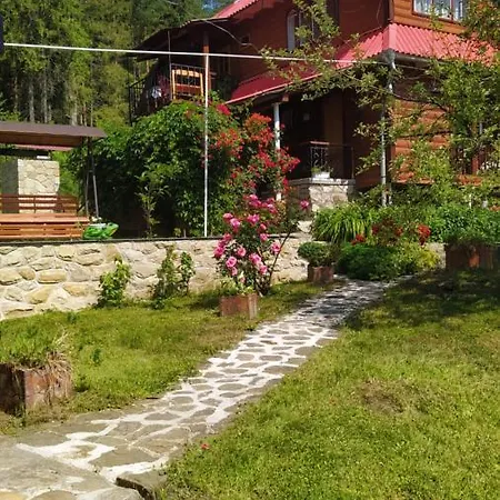 лісова казка * 야렘체