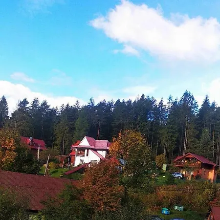 лісова казка