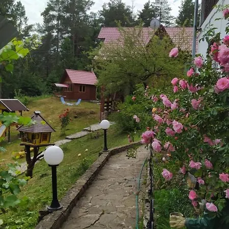 лісова казка