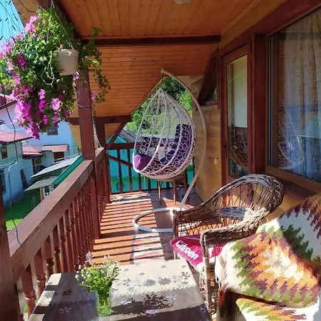 лісова казка 펜션 *