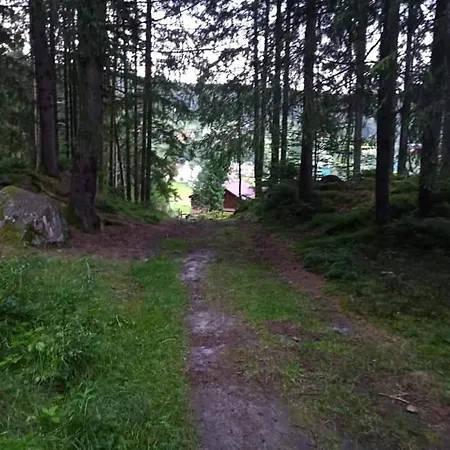 лісова казка * 야렘체