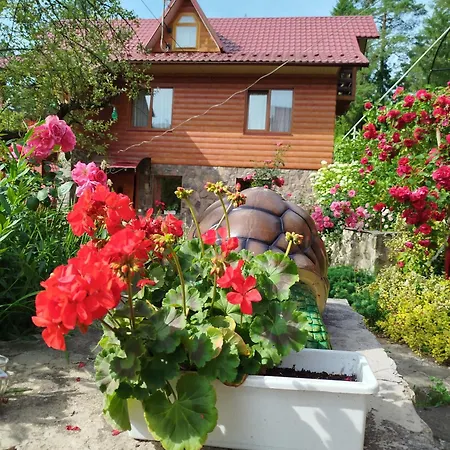 лісова казка *