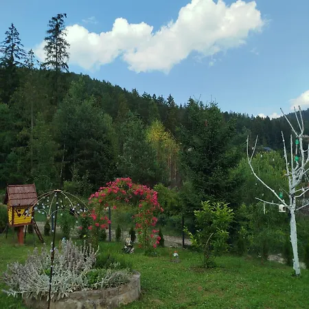 лісова казка Yaremche