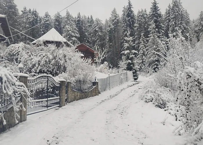 Tatil Evi лісова казка *