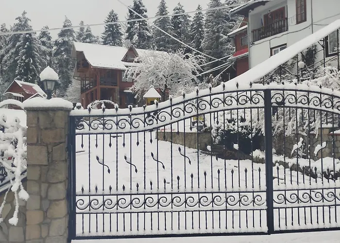 лісова казка Tatil Evi Yaremche