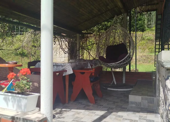 Tatil Evi лісова казка *