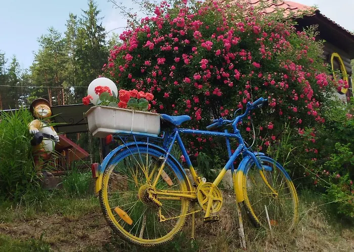 лісова казка * Yaremche