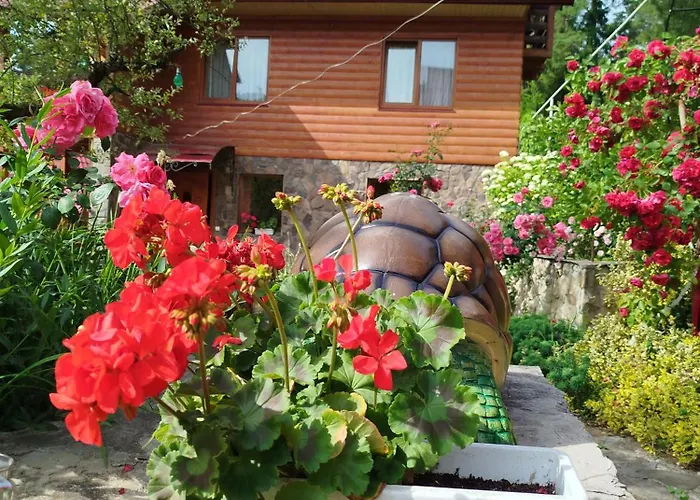 лісова казка *